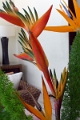 46_hotel_hassan_017