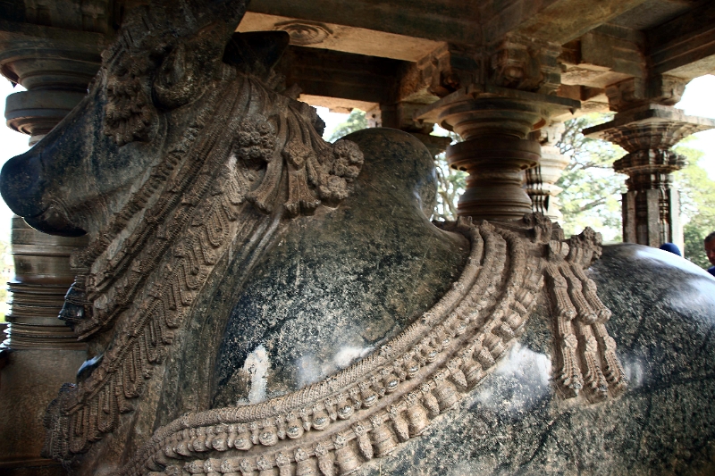 50_halebid_hoysaleshwara_080.jpg