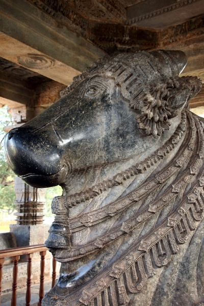 50_halebid_hoysaleshwara_081.jpg