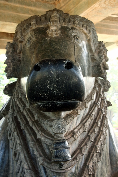 50_halebid_hoysaleshwara_083.jpg