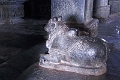 50_halebid_hoysaleshwara_025