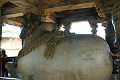 50_halebid_hoysaleshwara_089