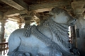 50_halebid_hoysaleshwara_091