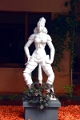 51-divers_001