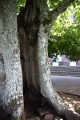 03_ste_odile_017