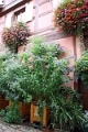 06_eguishem_010