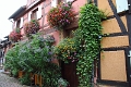 06_eguishem_011