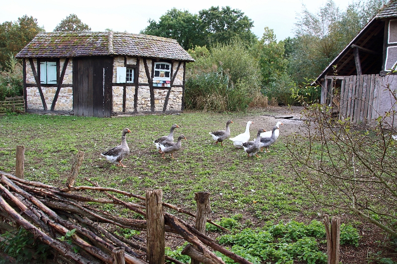 07_ecomusee_023.JPG