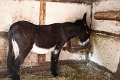 07_ecomusee_015