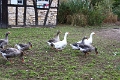 07_ecomusee_024