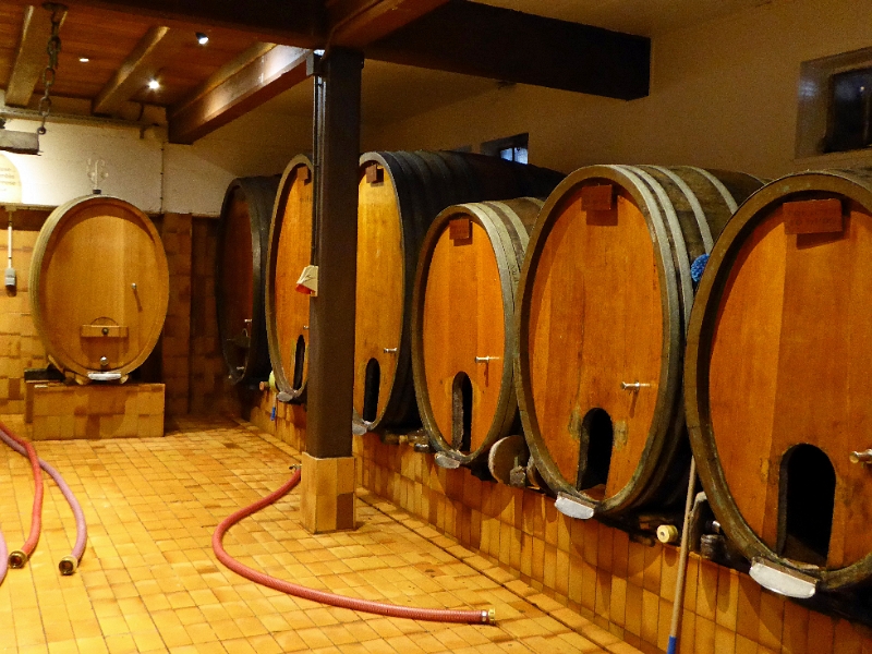 08_cave_vin_002.JPG