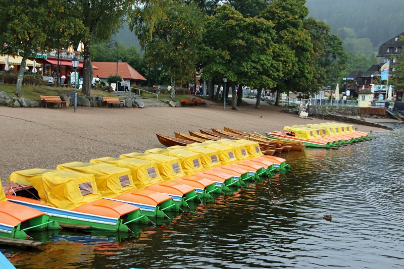 10_lac_titisee_013.JPG