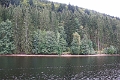 10_lac_titisee_007