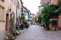 14_riquewihr_026
