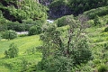 30_train_025