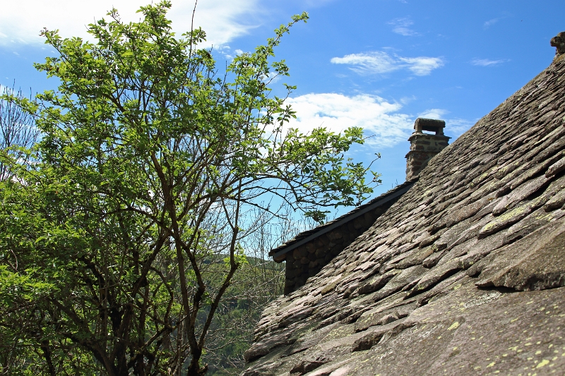 06_buron-de-salers_005.jpg