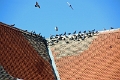03_osijek_005