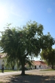 03_osijek_006
