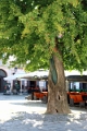 03_osijek_054