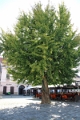 03_osijek_055