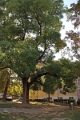 03_osijek_070