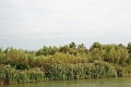 13_navigation_tulcea_023
