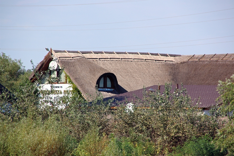 14_delta_010.jpg