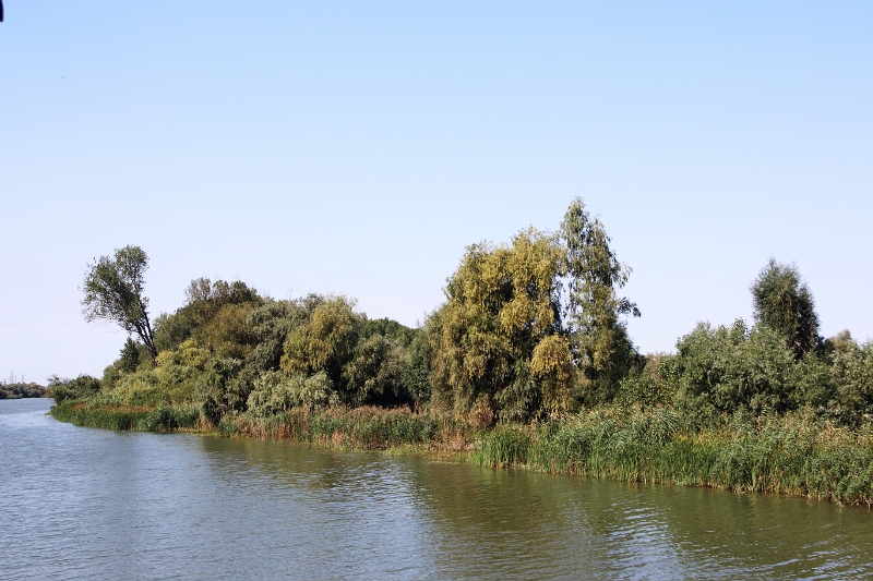 14_delta_033.jpg