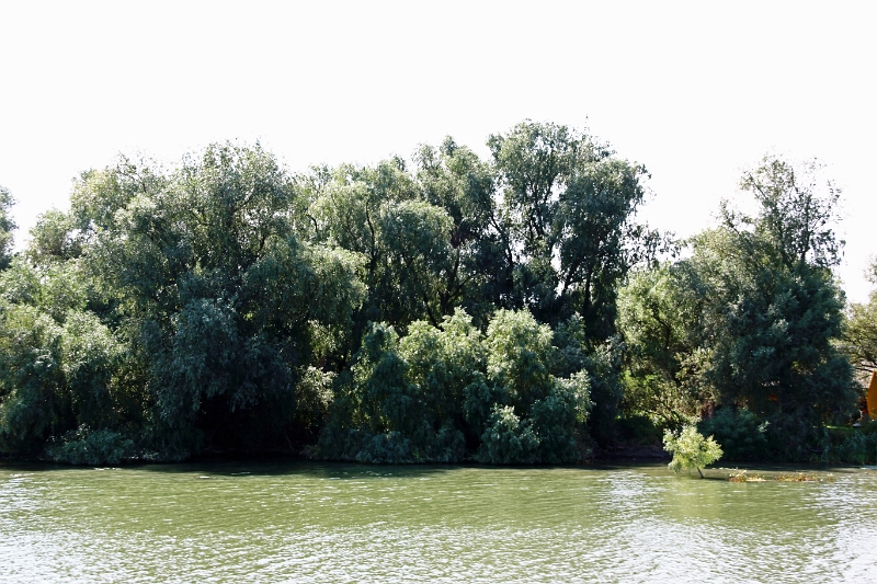 14_delta_036.jpg