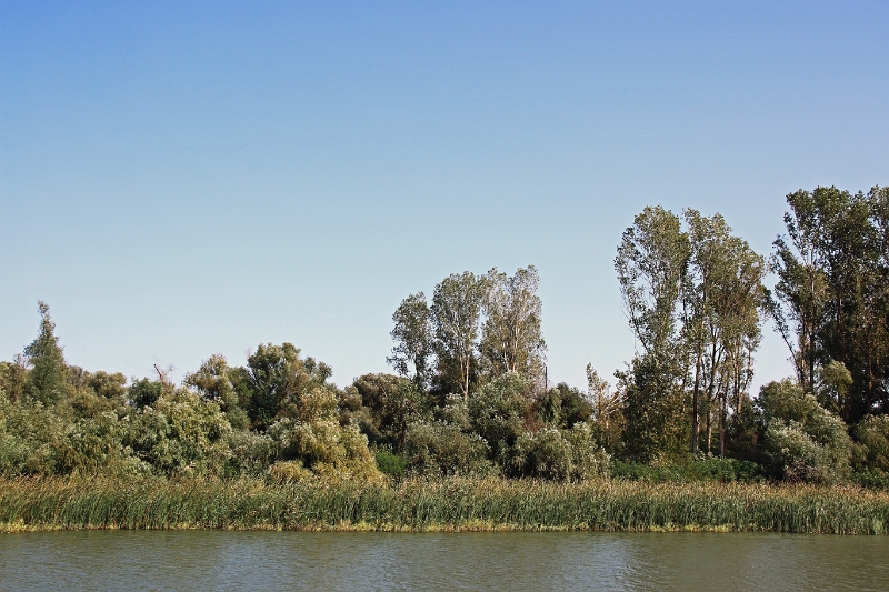 14_delta_038.jpg