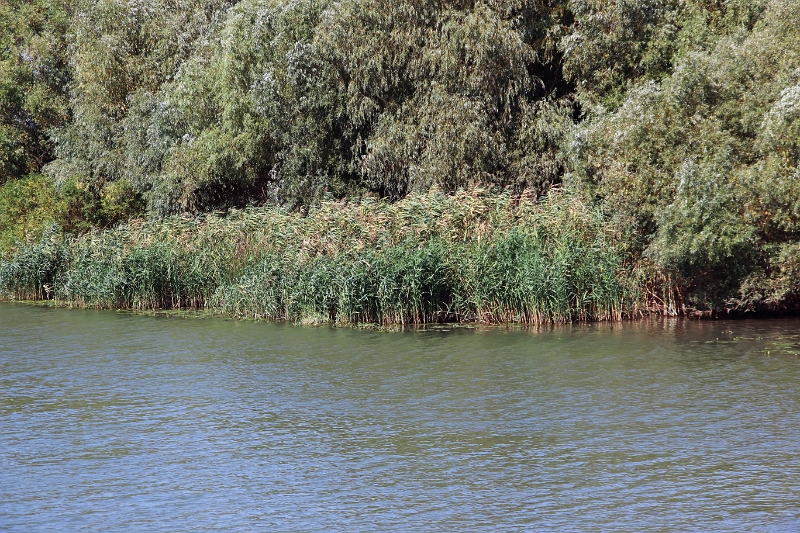 14_delta_048.jpg