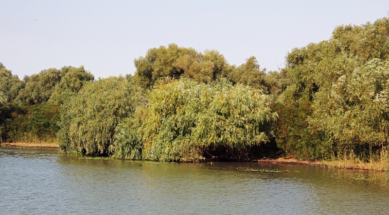 14_delta_050.jpg