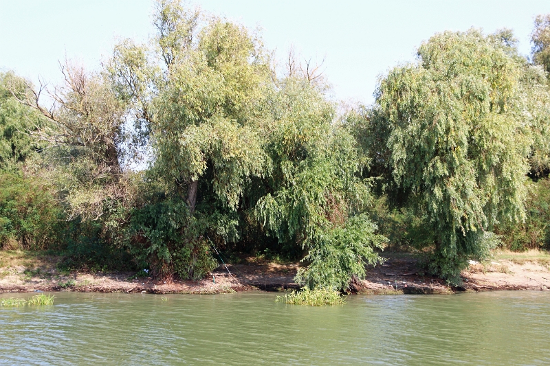 14_delta_061.jpg