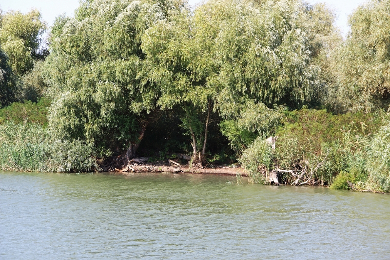 14_delta_069.jpg