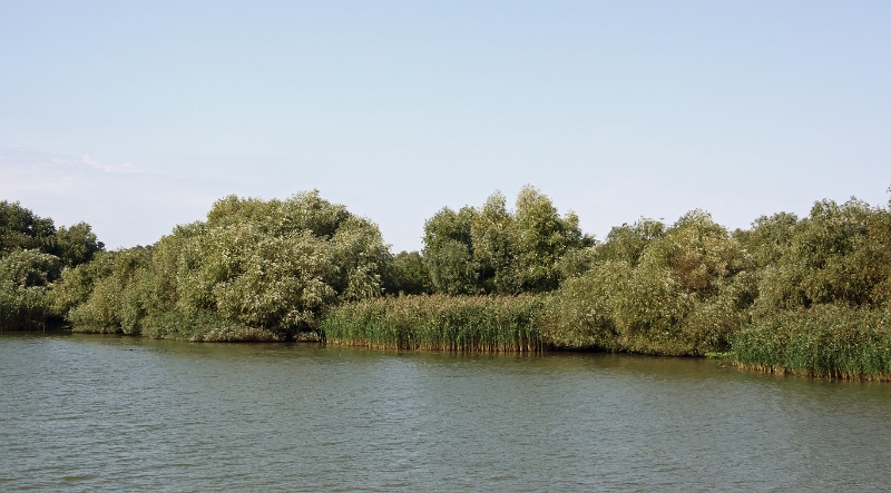 14_delta_071.jpg