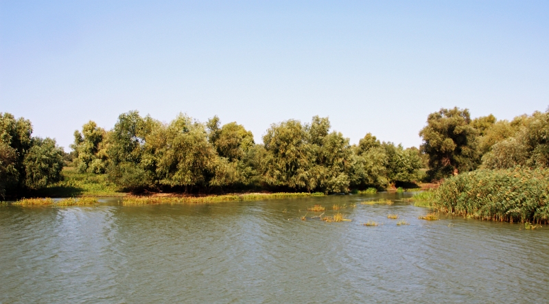 14_delta_074.jpg