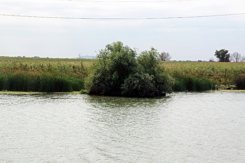 14_delta_077.jpg