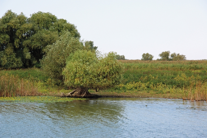 14_delta_085.jpg
