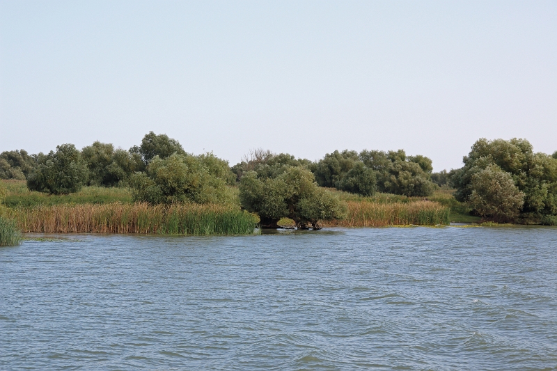 14_delta_088.jpg