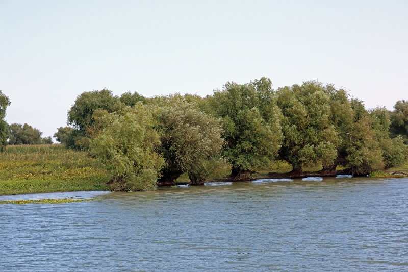 14_delta_091.jpg