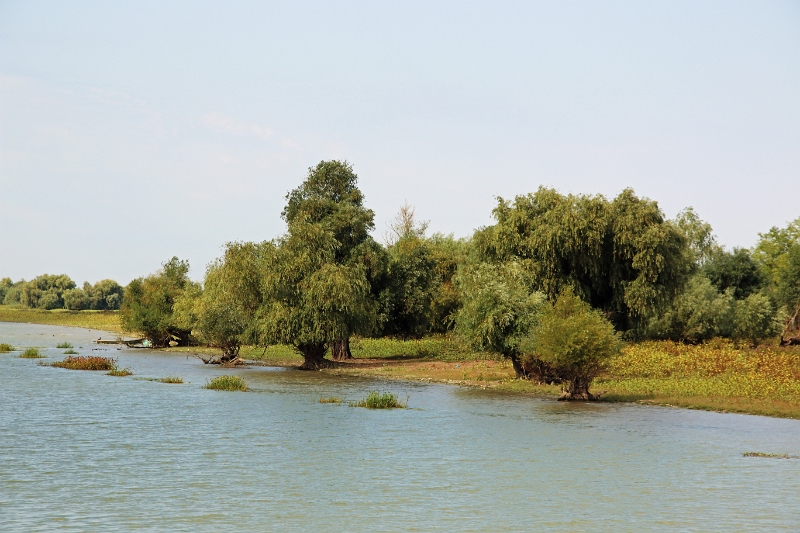 14_delta_100.jpg