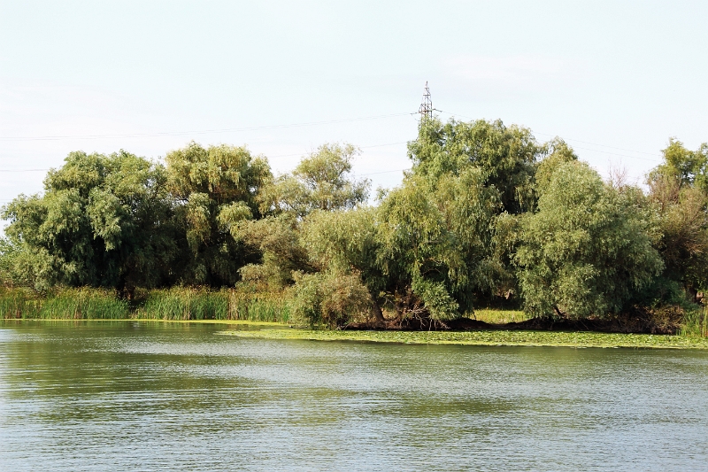 14_delta_138.jpg