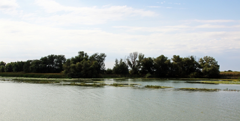 14_delta_140.jpg