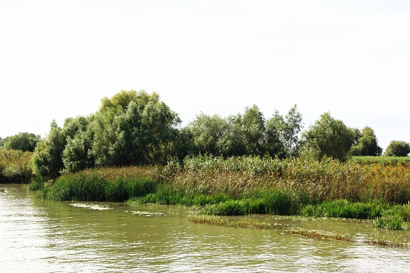 14_delta_141.jpg