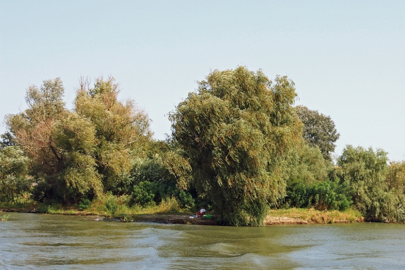 14_delta_147.jpg