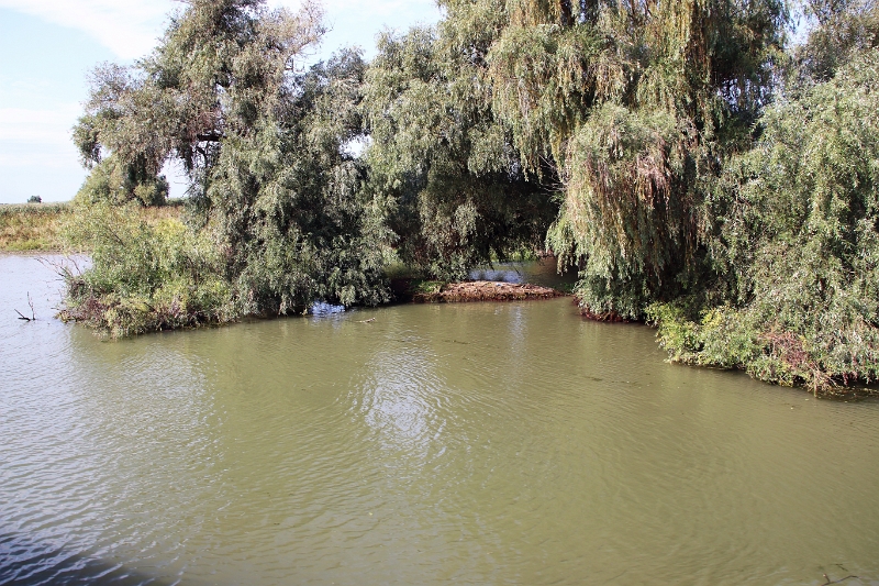 14_delta_150.jpg