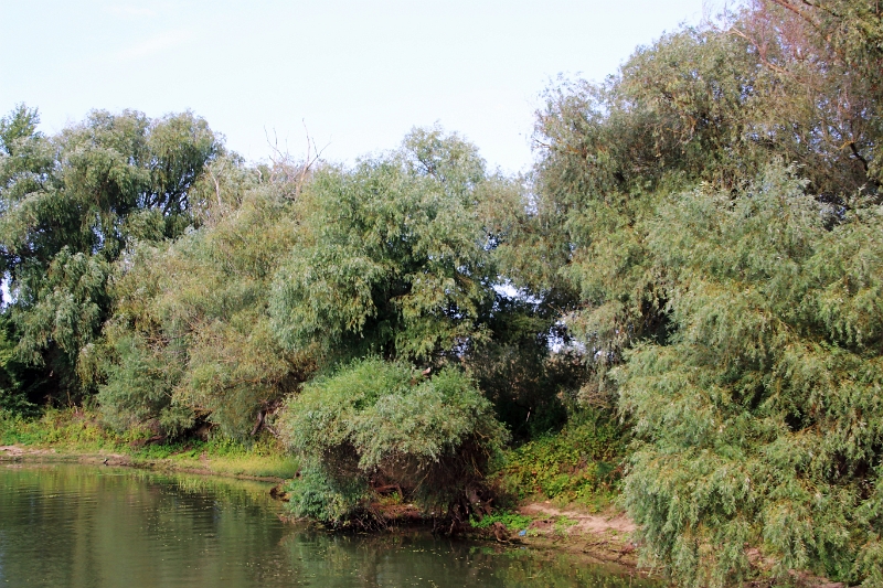 14_delta_156.jpg