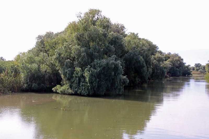 14_delta_170.jpg