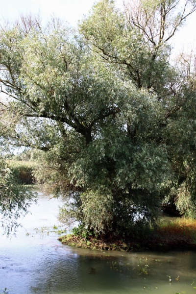 14_delta_183.jpg