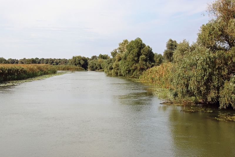 14_delta_184.jpg